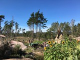 Spiritz Of The Jungle 2016