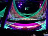 Spiritz Of The Jungle 2016