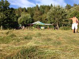 Spiritz Of The Jungle 2016