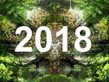 Spiritz Of The Jungle 2018