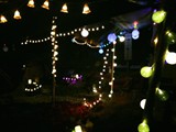 Spiritz Of The Jungle 2017
