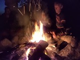 Spiritz Of The Jungle 2017