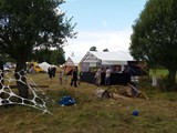 Spiritz Of The Jungle 2017