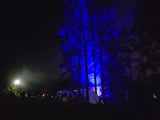 Spiritz Of The Jungle 2018