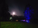 Spiritz Of The Jungle 2018