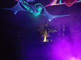Spiritz Of The Jungle 2018