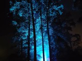 Spiritz Of The Jungle 2018