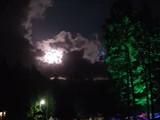 Spiritz Of The Jungle 2018