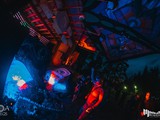 Spiritz Of The Jungle 2019
