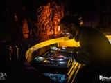Spiritz Of The Jungle 2019