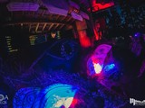 Spiritz Of The Jungle 2019