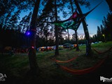 Spiritz Of The Jungle 2019