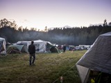 Spiritz Of The Jungle 2019