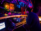 Spiritz Of The Jungle 2019