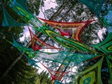 Spiritz Of The Jungle 2018