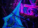Spiritz Of The Jungle 2018